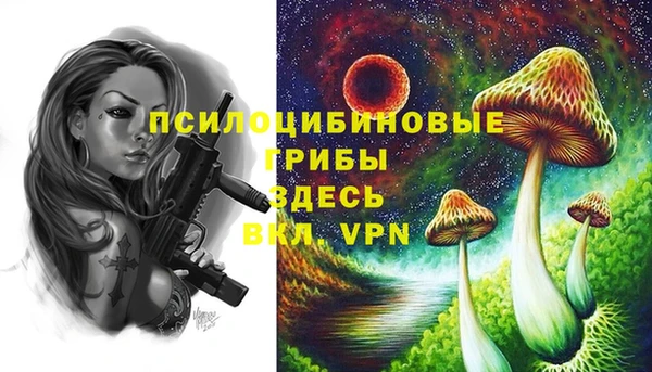 шишки Осинники